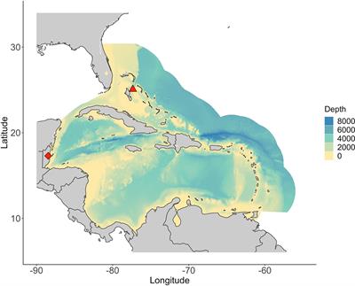 A participatory climate vulnerability assessment for recreational tidal flats fisheries in Belize and The Bahamas